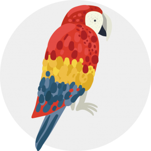 product category icon bird