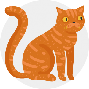 product category icon cat
