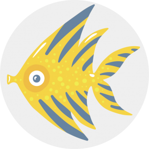 product category icon fish
