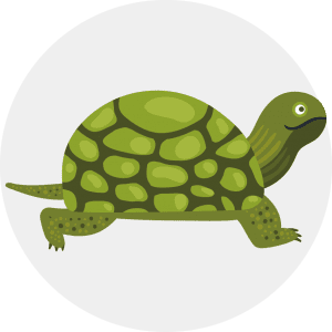 product category icon reptile